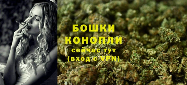PSILOCYBIN Новозыбков