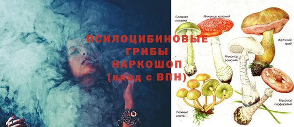 амф Арсеньев